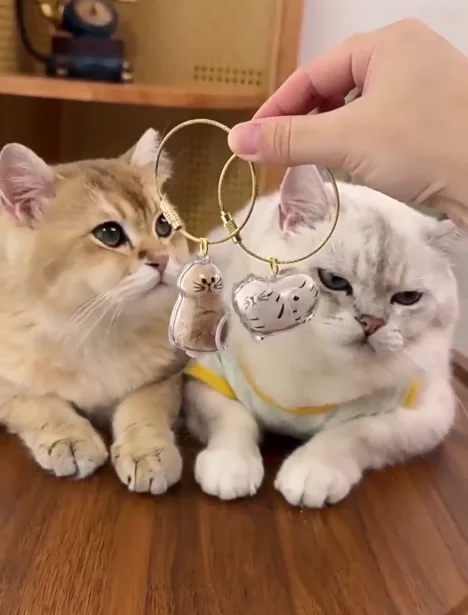 Two cat EternalPaw keychains held in front of two real cats